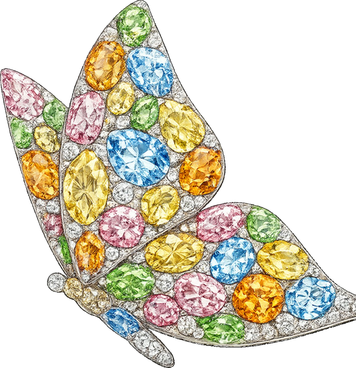 VIVID DIAM butterfly